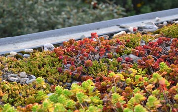 the cost of Trawden green roof installation