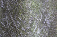 Trawden fibreglass roof work